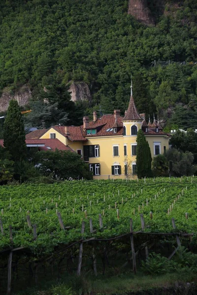 Una Vertical Lindenburg Edificio Residencia Una Montaña Rodeada Viñedos Bolzano —  Fotos de Stock