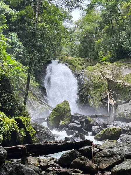 Beau Paysage Une Cascade Dans Une Jungle Costa Rica — Photo
