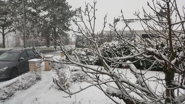 Vista Por Ventana Nieve Recién Caída Patio Delantero Alemania —  Fotos de Stock