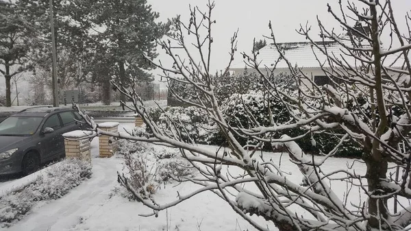 Vista Dalla Finestra Sulla Neve Appena Caduta Nel Cortile Anteriore — Foto Stock