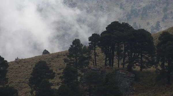 Krajina Výhledem Národní Park Iztaccihuatl Horami Zamračené Pozadí — Stock fotografie