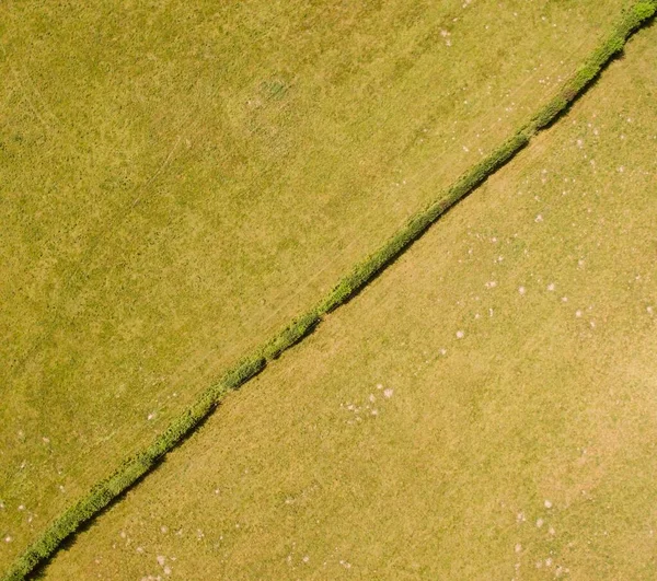 Una Vista Aérea Campos Agrícolas Verdes Una Mañana Soleada — Foto de Stock