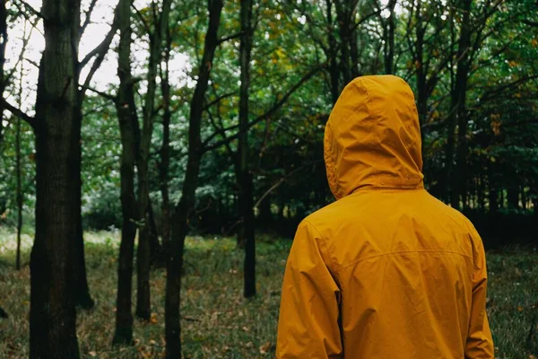 緑豊かな森の中をオレンジのコートを着た旅行者の背中の景色 — ストック写真