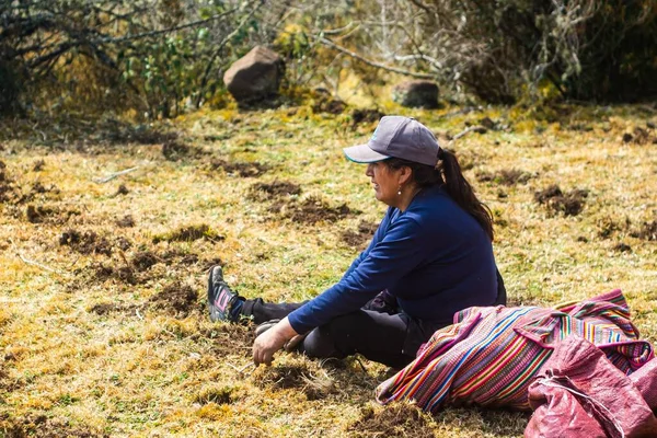 Selektivní Zaměření Peruánské Farmářky Sedící Obědem Zabaleným Dece Vedle — Stock fotografie