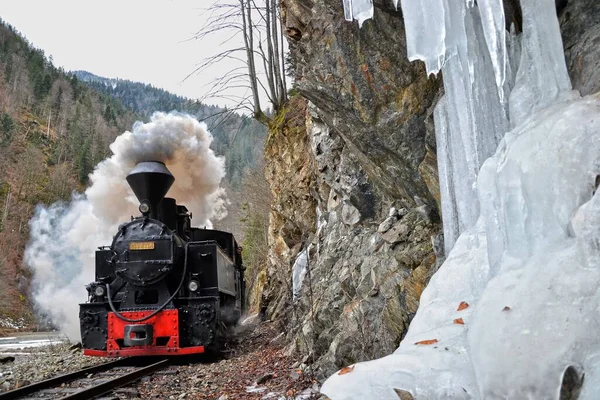 Mocanita Steam Train Passing Forestry Railway Cold Winter Ice — Stock Photo, Image