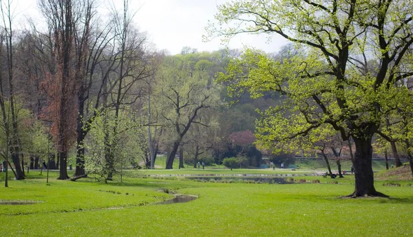 Small Water Pond Stromovka Royal Park Surrounded Trees Prague Daytime — Stock Photo, Image
