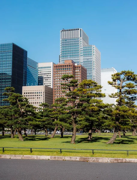 Eine Vertikale Aufnahme Mehrerer Moderner Gebäude Tokio Hinter Einem Gepflegten — Stockfoto