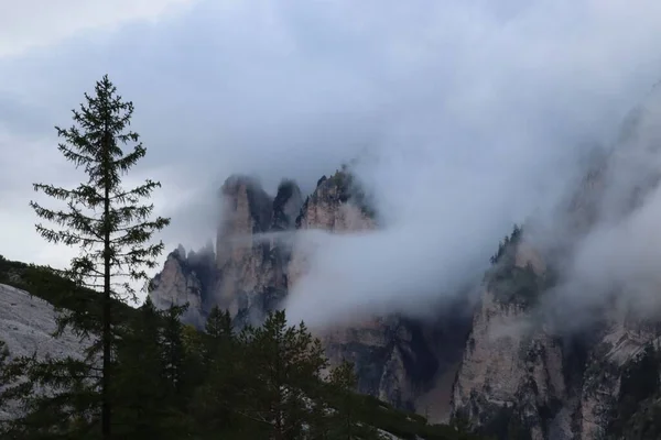 Paesaggio Montagne Rocciose Dolomitiche Con Alberi Cielo Nebbioso Trentino Alto — Foto Stock