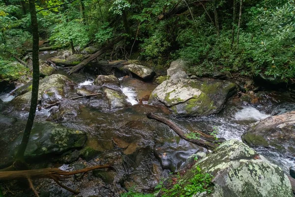 昼間は森の中の緑に囲まれた岩の上の小さな流れ — ストック写真