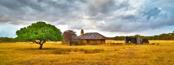 古い農家と一本の木 乾燥した草と劇的な空で夏に流す — ストック写真
