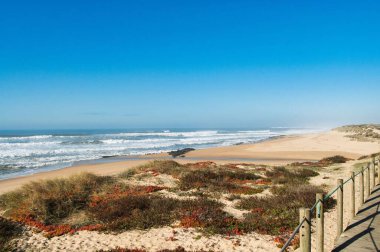 Kıyı şeridinde yosun kaplı kumun yakın çekimi.