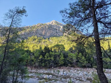 Güneşli bir günde, kayalık dere ve ağaçlar bir dağın önünde.