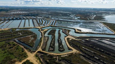 Sazlık labirenti, ışığın yansıması.