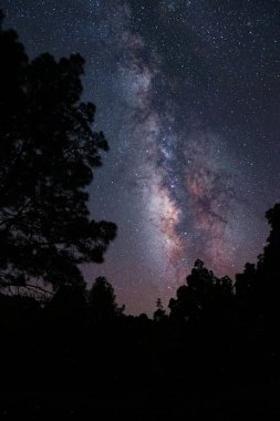 Parlak mor yıldızlı bir galaksinin dikey görüntüsü.