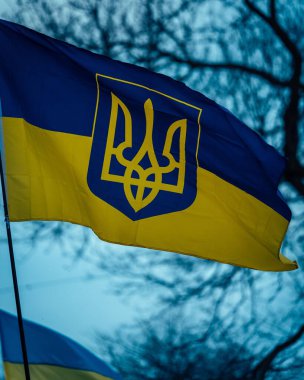 Ukrayna bayrağının dikey bir görüntüsü. Arkasında ağaçlar olan armalı bir arma.