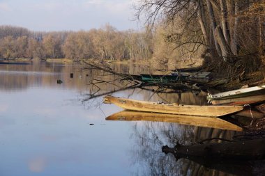 Güz ağaçlarıyla çevrili bir gölün kıyısına park edilmiş eski bir tekne.