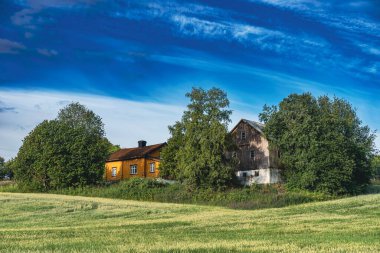 Norveç 'in Vestoppland bölgesinde mavi gökyüzü altında ağaçların ve kırsal evlerin olduğu yeşil bir çiftlik.