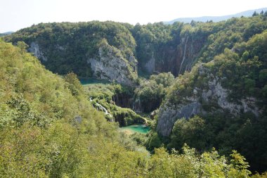 Plitvice Gölleri Ulusal Parkı 'nda yeşil bitkilerle kaplı bir göl manzarası.