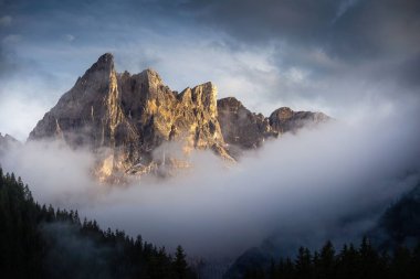 Ön planda ormanı olan sisle kaplı kayalık bir dağın nefes kesici manzarası.
