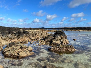 Kayalık bir sahil şeridinin güzel bir görüntüsü