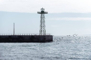 Gözetleme kulesi ve deniz kenarında uçan kuş sürüsü olan bir iskele.