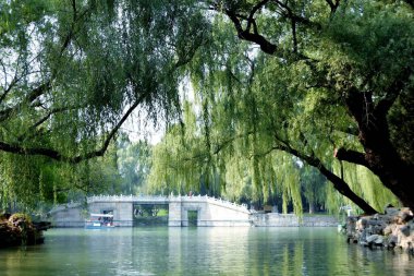 Gündüz vakti ağaçlarla çevrili beyaz bir köprüsü olan güzel bir göl manzarası.