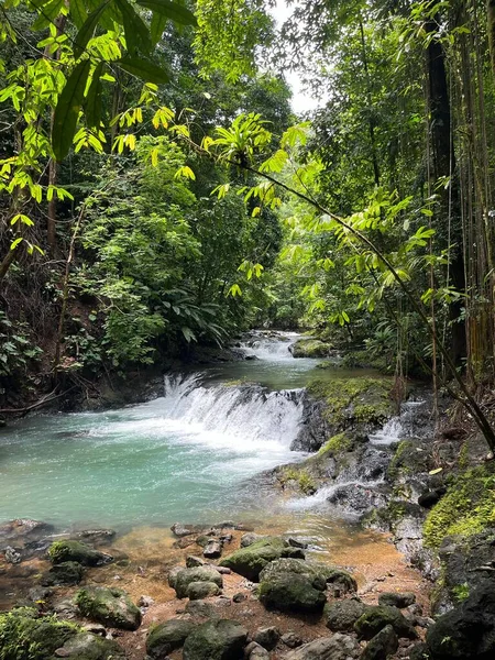 Une Cascade Fluviale Dans Une Jungle Dense Costa Rica — Photo