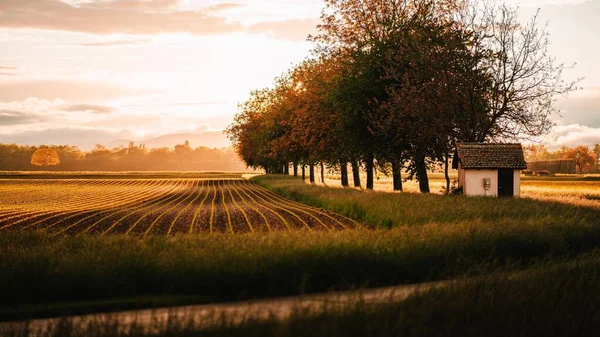 stock image These are alsacian fields during sunset