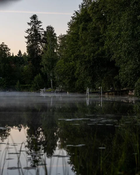 霧の多い日の穏やかな湖と森の景色 — ストック写真
