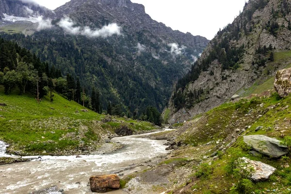 Vue Panoramique Une Rivière Traversant Trek Sonamarg Hill Jammu Cachemire — Photo