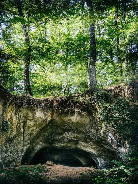 Ormandaki Gizli Mağaranın Dikey Görüntüsü — Stok fotoğraf