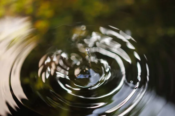 池の水面に水滴が飛び散る — ストック写真