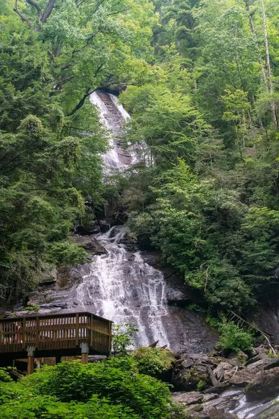 Uma Pequena Cachoeira Rochas Cercadas Por Vegetação Uma Floresta Luz — Fotografia de Stock