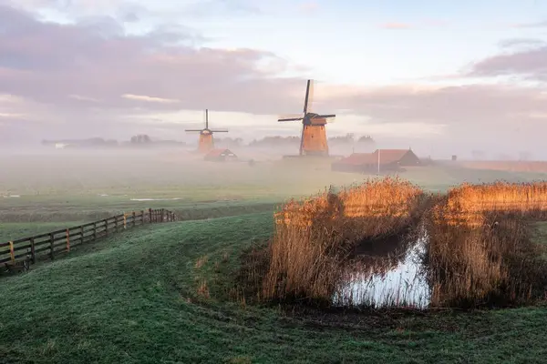 Een Mistig Ochtendzicht Windmolens Het Veld Nederland — Stockfoto