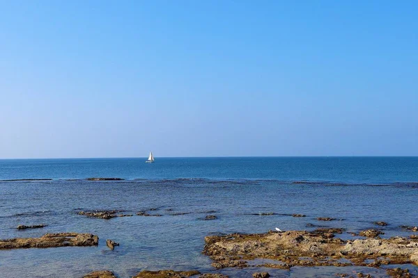 岩の上に白いサギがいる地中海沿岸の海の景色と水平線を航海するボート Acre Israel — ストック写真