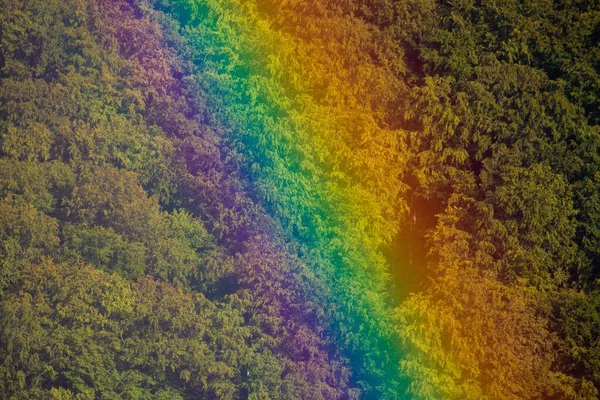 Een Antenne Uitzicht Een Heldere Regenboog Een Berghelling Bos — Stockfoto