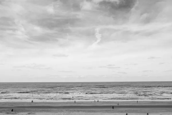 Szary Kadr Plaży Morza Tle Nieba Niderlandy — Zdjęcie stockowe