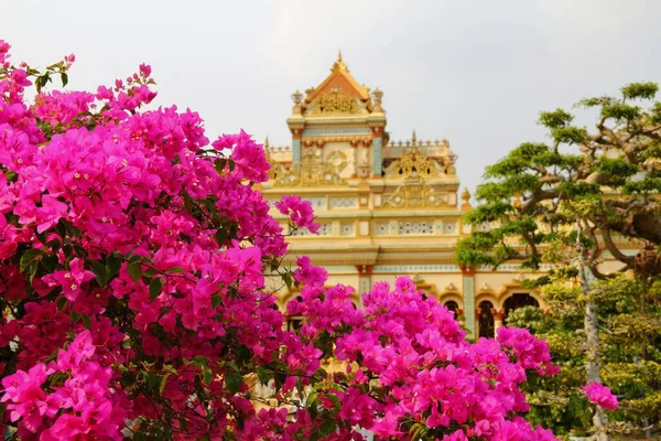 Buddha Temple Flowers South Vietnam — Stock Photo, Image