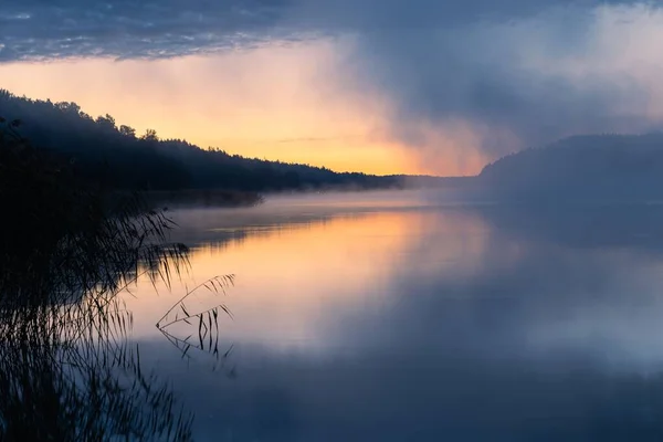 Una Vista Panoramica Lago Calmo Una Foresta Durante Una Giornata — Foto Stock