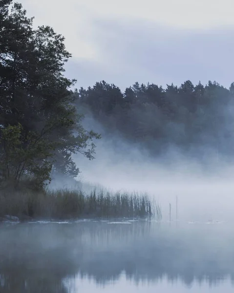 Sisli Bir Sabahta Sakin Bir Göl Ormanın Manzarası — Stok fotoğraf