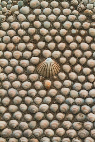 Egy Kagylóval Díszített Fal — Stock Fotó
