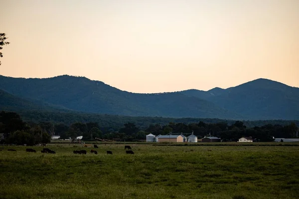 Una Hermosa Toma Tierras Cultivo Las Montañas Shenandoah — Foto de Stock