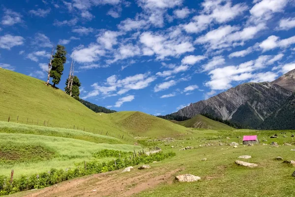 Eine Schöne Aufnahme Der Saftig Grünen Landschaften Kaschmirs — Stockfoto