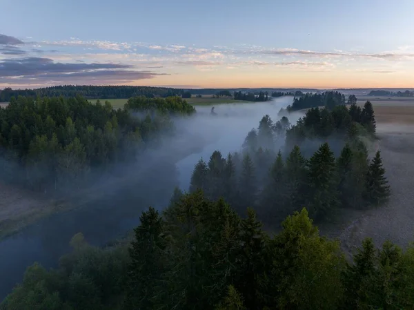 Malowniczy Widok Leśnego Krajobrazu Podczas Mglistego Poranka — Zdjęcie stockowe