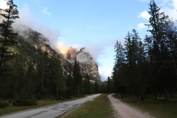 Táj Füves Alatt Dolomitok Hegyek Ködös Trentino Dél Tirol Olaszország — Stock Fotó