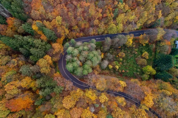 Flygfoto Över Motorväg Med Färgglada Träd Runt Solingen Tyskland — Stockfoto