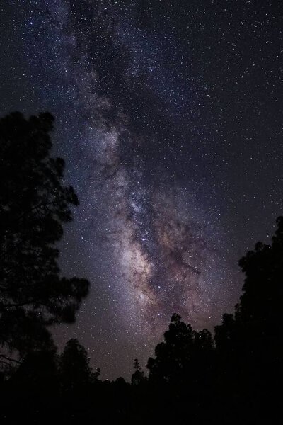 Вертикальный снимок ярко-фиолетового звездно-ночного неба над парком
