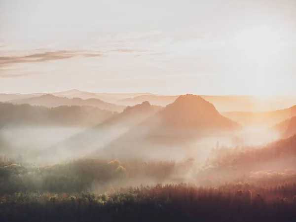 日没時の霧に包まれた天気の森の山々の美しいショット — ストック写真