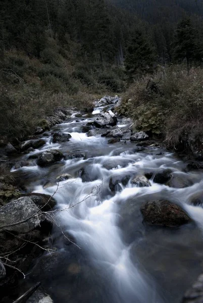 Μια Μακρά Έκθεση Ποτάμι Ρέει Πάνω Από Βράχους Στην Κοιλάδα — Φωτογραφία Αρχείου