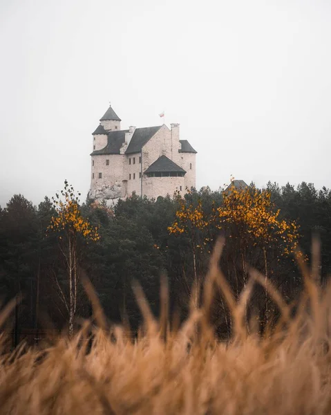 Vertikal Bild Det Kungliga Slottet Bobolice Bobolice Polen Dimmigt Väder — Stockfoto